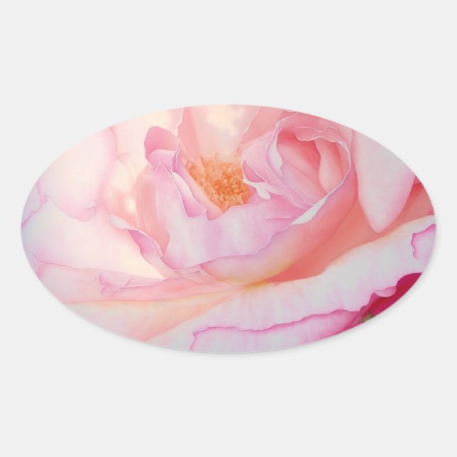 Pink rose petals watercolour oval sticker (Front)