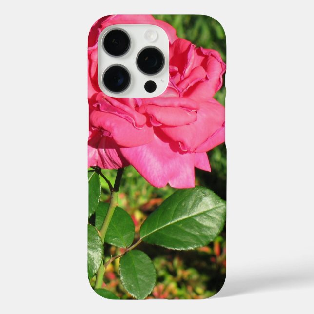 Pink Rose phone cases (Back)