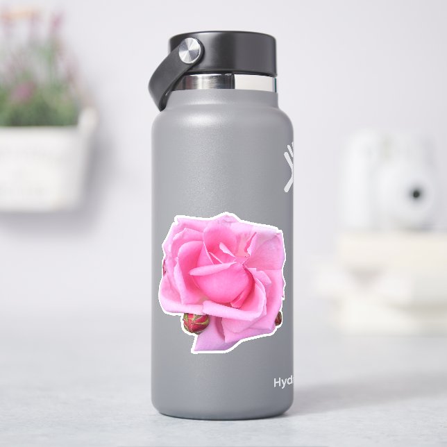 Pink Rose Photo (HydroFlask)