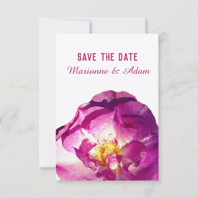 Pink Rose Photo, Elegant,  Save the Date Card (Front)
