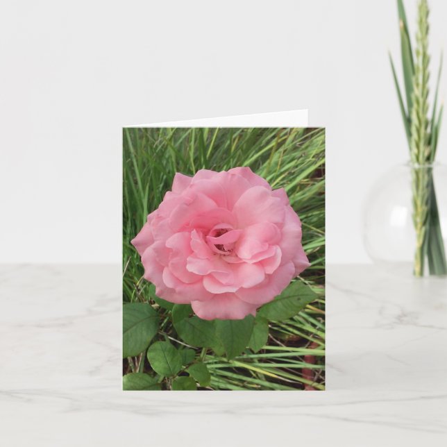 Pink Rose Photo Folded Note Card (Front)