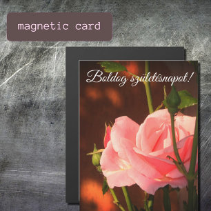 Pink rose photo - Hungarian birthday