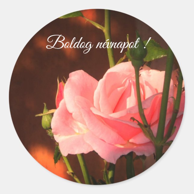 Pink rose photo  - Hungarian name day   Classic Round Sticker (Front)