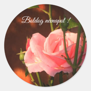 Pink rose photo - Hungarian name day Classic Round Sticker