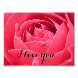 Pink Rose Photo Print