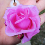 Pink Rose Photo Sculpture<br><div class="desc">My sample photo was taken of an actual keychain that I purchased. The cut out pink rose photo was taken in a rose garden I visited in Portland, Oregon. Two unopened buds with the isolated image.</div>