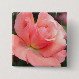 Pink Rose Pin