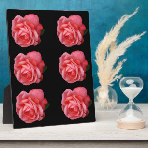 Pink rose plaque