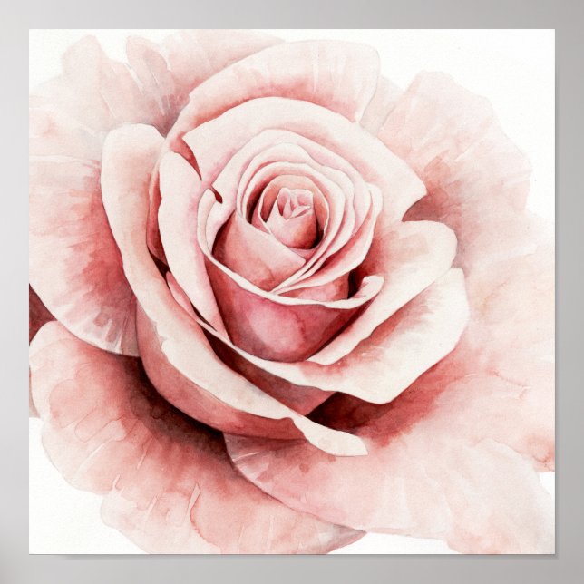 Pink Rose Poster (Front)