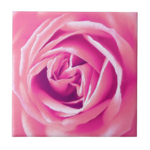 Pink rose print tile