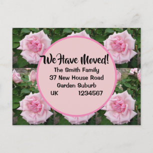 Pink Rose Rose New Address Postcard, We Are Moving Postcard