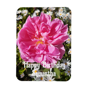 Pink Rose Roses Flower flowers Floral Birthday Magnet