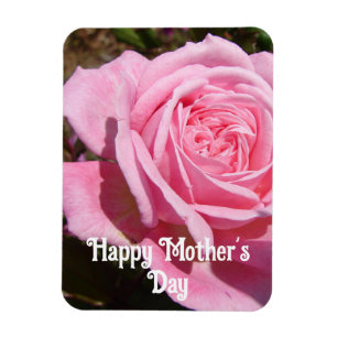Pink Rose Roses Flower flowers Floral Mothers Day Magnet