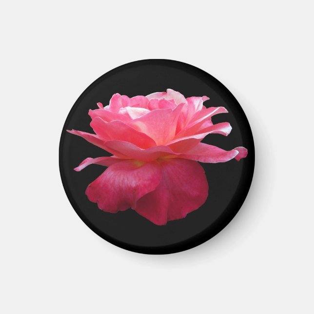 Pink Rose Round Fridge Magnet Gardener Gift (Front)
