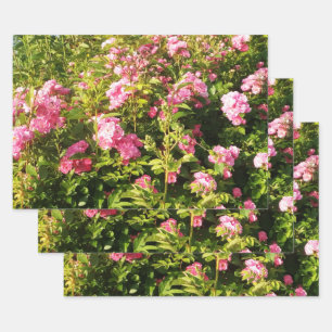 Pink Rose Secret Garden  Wrapping Paper Sheet