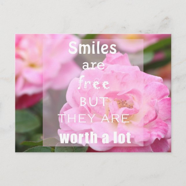 Pink rose smile postcard (Front)