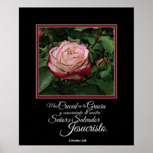 Pink Rose Spanish Bible Verse Artwork Poster