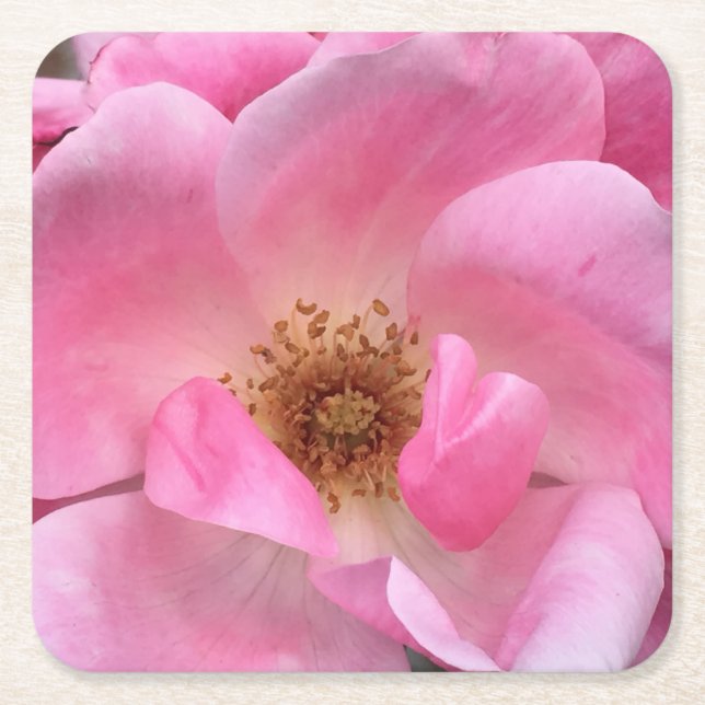 Pink Rose Square Paper Coaster (Front)