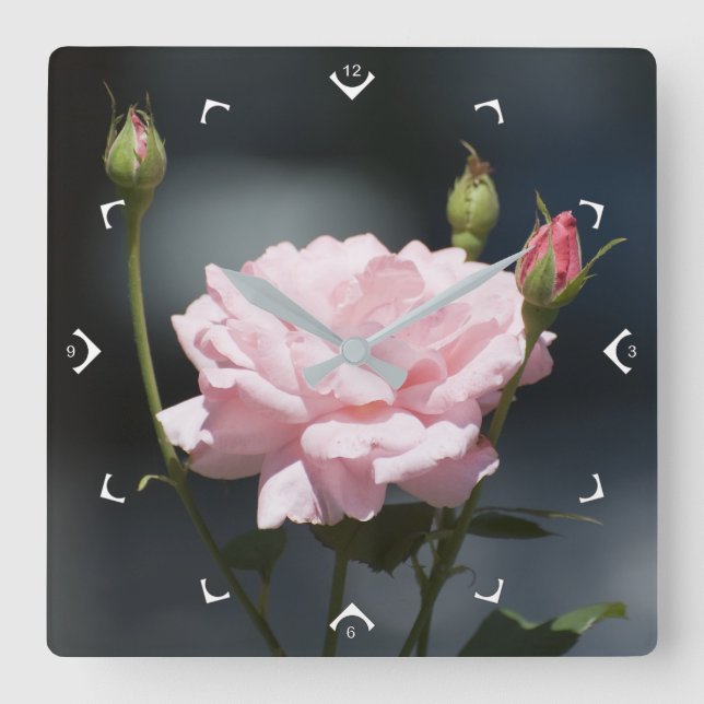 pink rose square wall clock (Front)