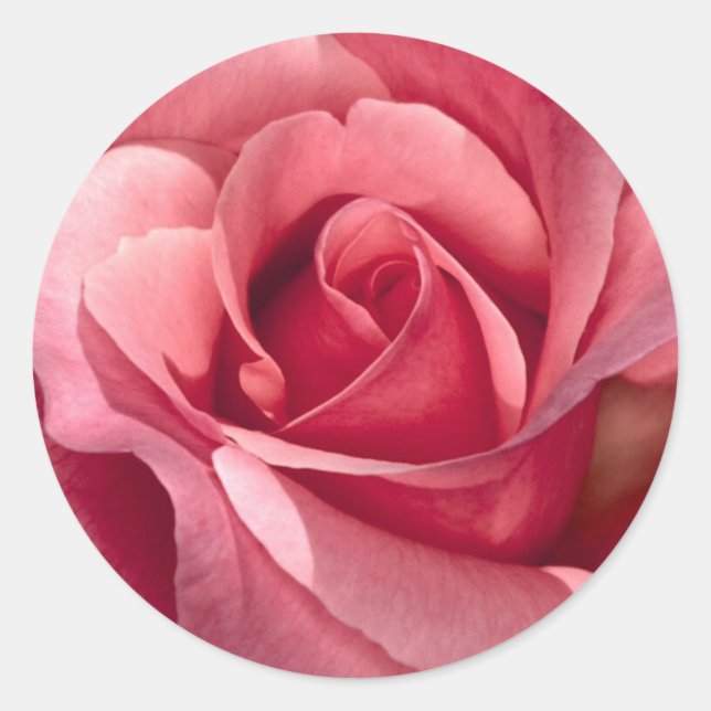 Pink Rose Sticker and Envelope Seal (Front)