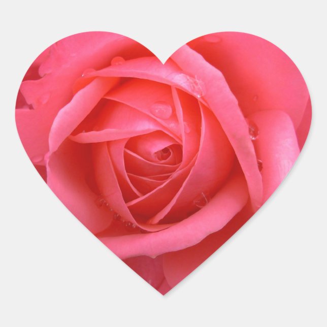 Pink Rose Stickers Pink Rose Gifts Keepsake (Front)