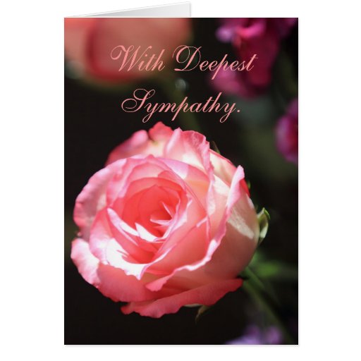 Pink Rose, Sympathy Card | Zazzle