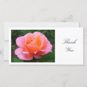 Pink Rose- Thank You