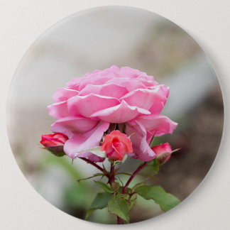pink rose three red buds 6 cm round badge