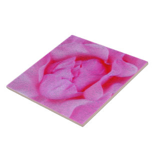 pink rose tile