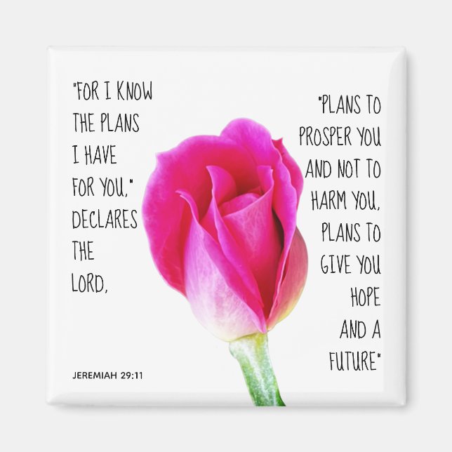 Pink Rose, verse from Jeremiah 29:11 Magnet (Front)