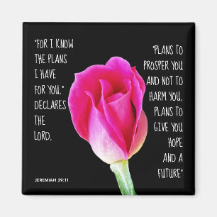 Pink Rose, verse from Jeremiah 29:11 Magnet