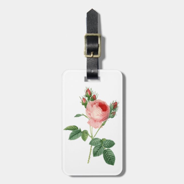 Pink rose vintage botanical illustration luggage tag (Front Vertical)