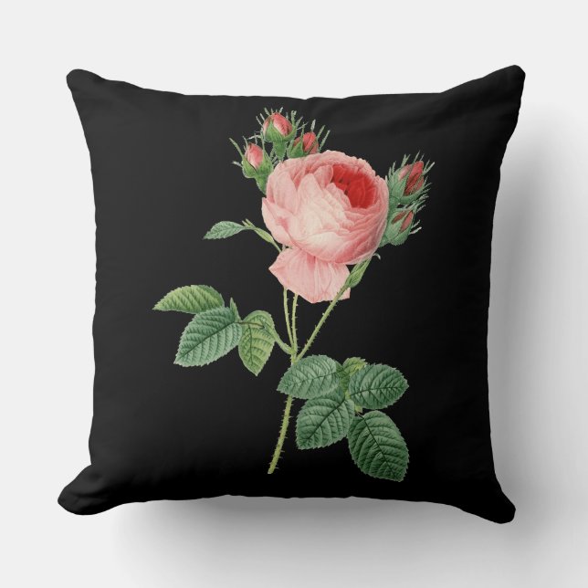 Pink rose vintage botanical illustration on black cushion (Front)