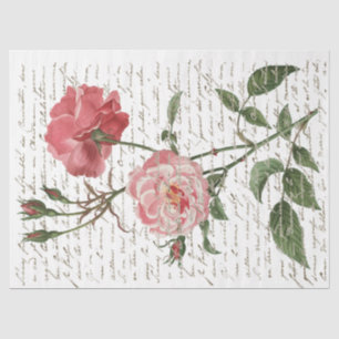 Pink Rose Vintage French Script Gold Lg Decoupage  Tissue Paper