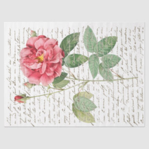 Pink Rose Vintage French Script Gold Lg Decoupage  Tissue Paper