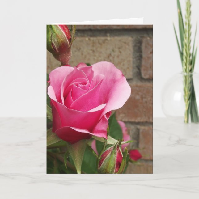 Pink Rose w/bricks Card (Front)