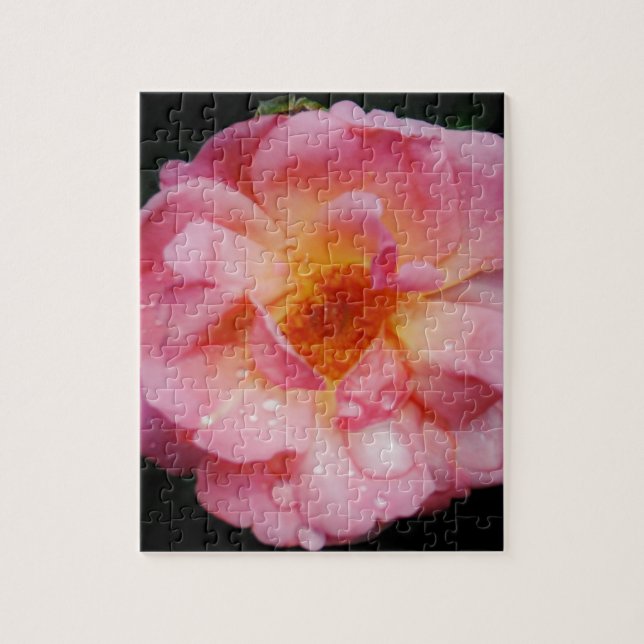 Pink Rose w/ Dew Drops Black Background Jigsaw Puzzle (Vertical)