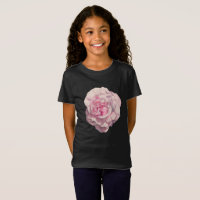 Pink Rose Watercolor Illustration