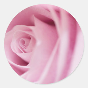 Pink Rose Wedding Envelope Seal and Stickers
