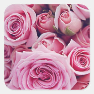 Pink Rose Wedding Stickers