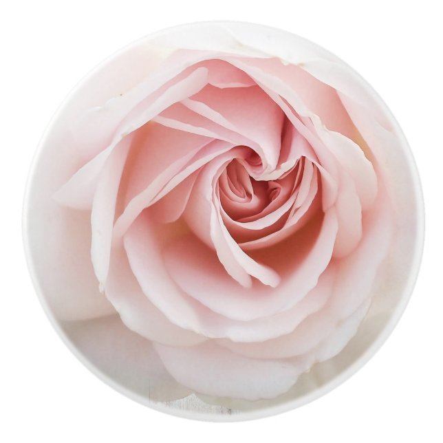 Pink Rose White Wood Shabby Chic Farmhouse Floral Ceramic Knob (Front)