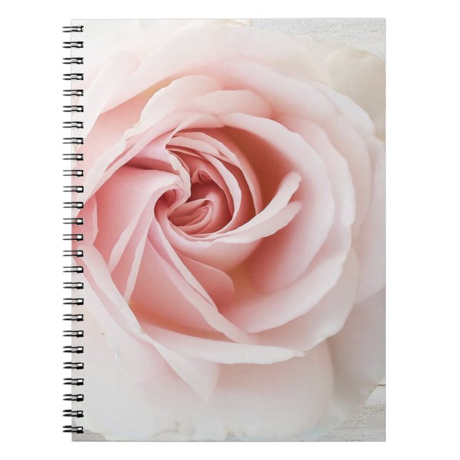 Pink Rose & White Wood Shabby Chic Farmhouse Glam Notebook (Front)