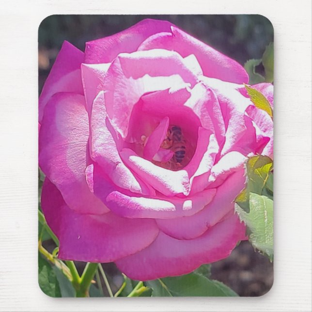 Pink Rose with a Bee Mouse Pad (Front)
