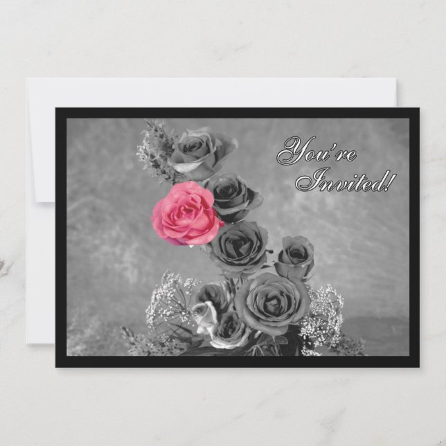 Pink Rose with Black and White Background (Front)