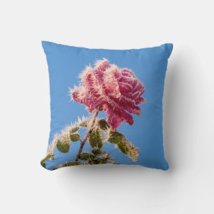 Pink Rose with Icy Frost in a Cold Winter Nature - Cushion
