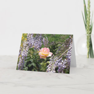Pink Rose with Purple Wisteria Blank Art Card