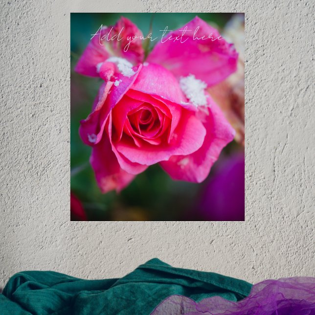 Pink rose with snowflakes poster (Creator Uploaded)