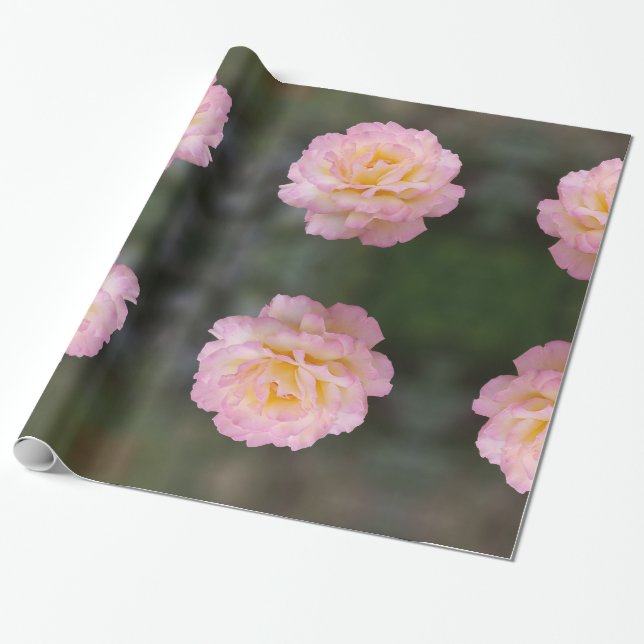 pink rose wrapping paper (Unrolled)