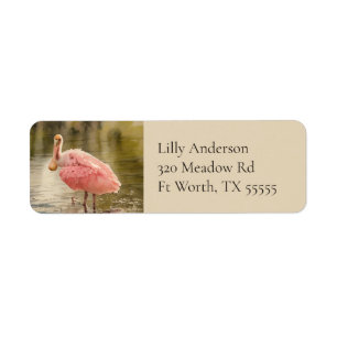 Pink Roseate Spoonbill Watercolor Return Address