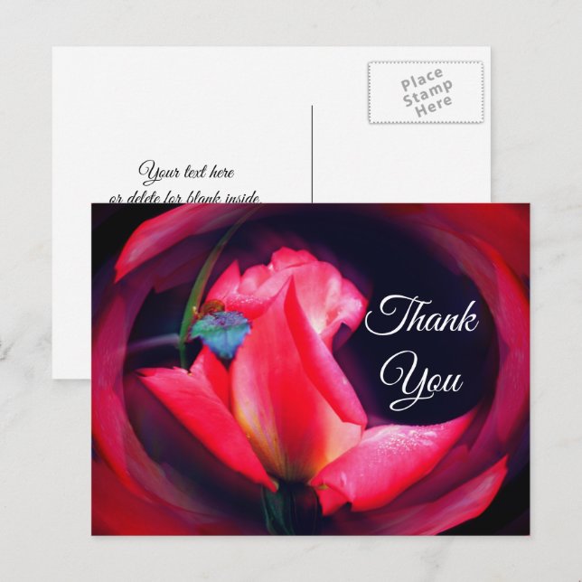 Pink Rosebud Abstract Floral Thank You Postcard (Front/Back)